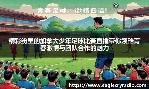 精彩纷呈的加拿大少年足球比赛直播带你领略青春激情与团队合作的魅力