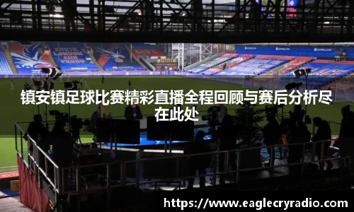 镇安镇足球比赛精彩直播全程回顾与赛后分析尽在此处