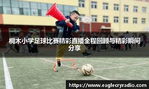 南宫NG28