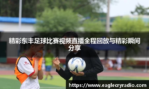 精彩东丰足球比赛视频直播全程回放与精彩瞬间分享