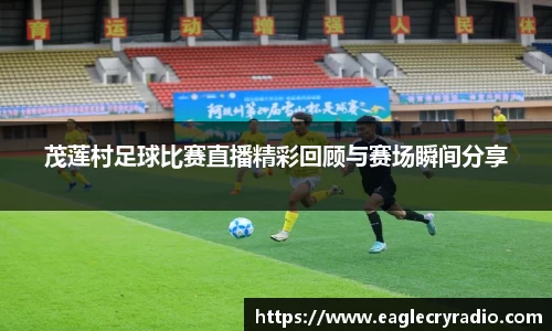 茂莲村足球比赛直播精彩回顾与赛场瞬间分享