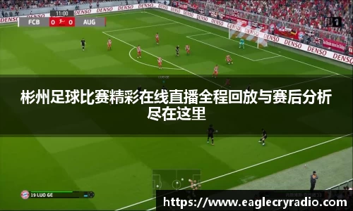 彬州足球比赛精彩在线直播全程回放与赛后分析尽在这里