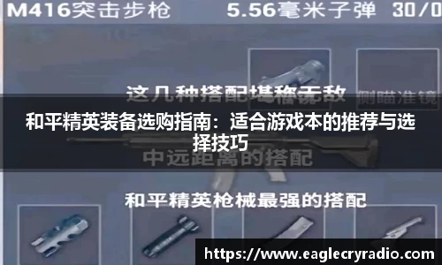 和平精英装备选购指南：适合游戏本的推荐与选择技巧