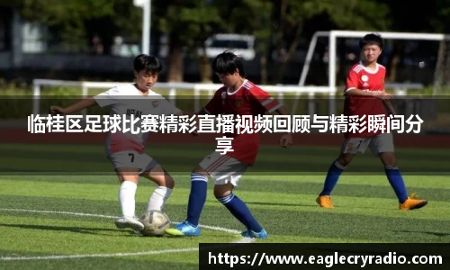 南宫NG28