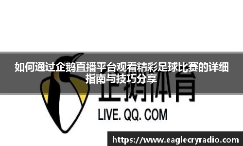 如何通过企鹅直播平台观看精彩足球比赛的详细指南与技巧分享