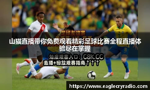 山猫直播带你免费观看精彩足球比赛全程直播体验尽在掌握
